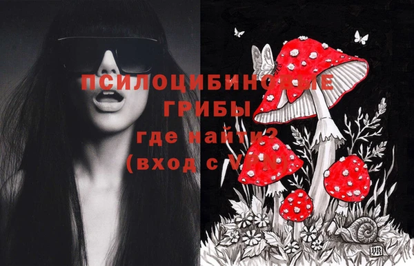 метадон Нея