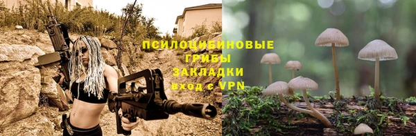первитин Арсеньев