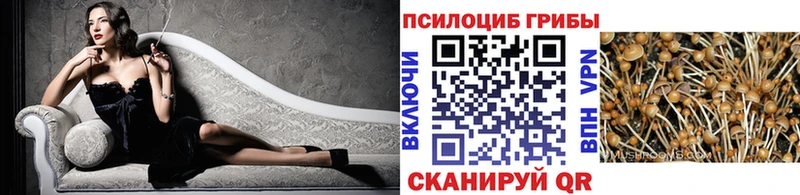 MEGA ONION  Севск  Псилоцибиновые грибы Psilocybine cubensis 